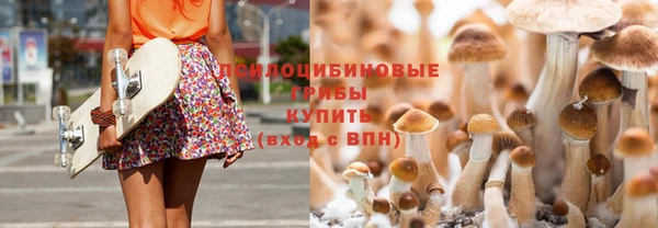 соль ск Костерёво