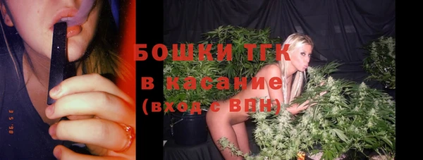 гашик Коряжма
