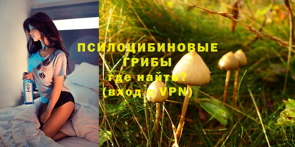 гашик Коряжма
