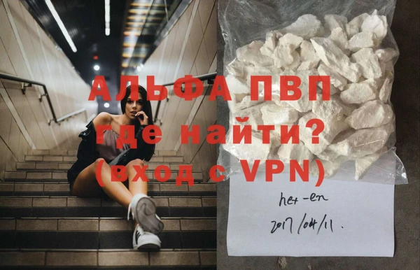 гашик Коряжма
