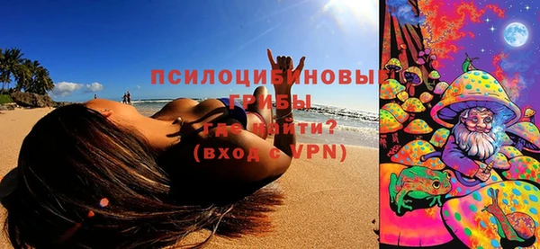 соль ск Костерёво