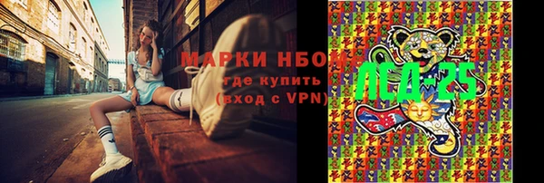 гашик Коряжма