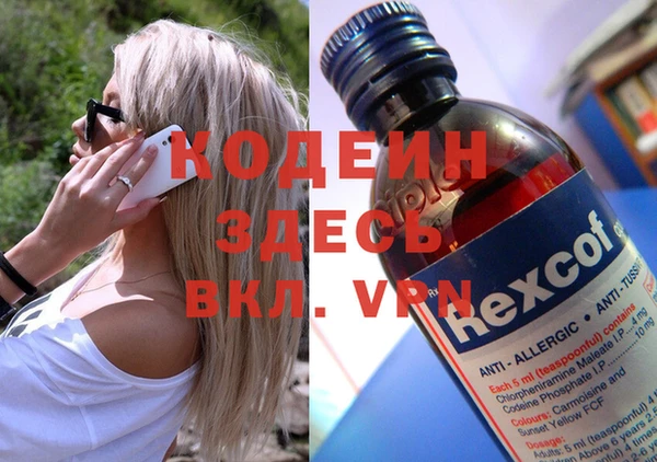 гашик Коряжма