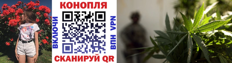 Купить где  Болгар  Канабис Ganja 